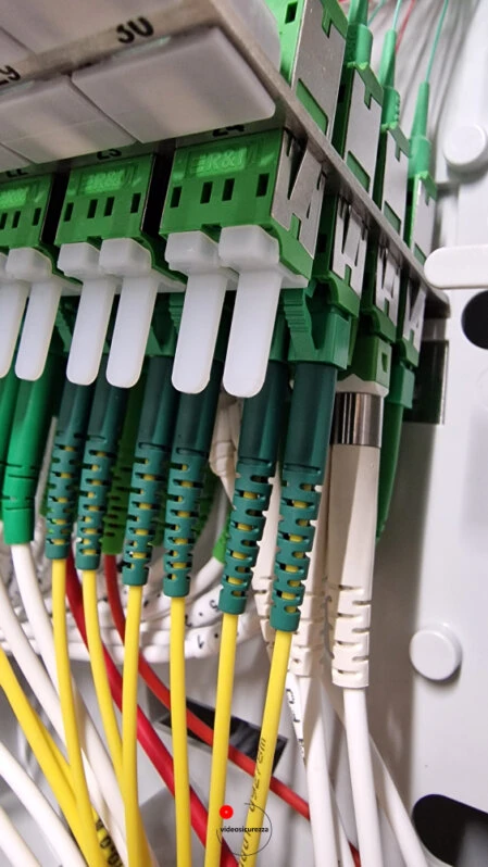 Connessioni in fibra ottica su pannello di distribuzione Dettaglio di cavi in fibra ottica SC/APC collegati a pannello di terminazione all’interno di un armadio di rete strutturato